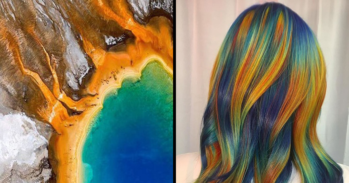 Cette styliste transforme des images fascinantes de la nature en magnifiques coiffures  (16 images)