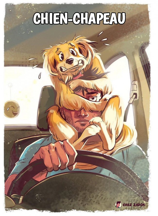 En 17 illustrations, cet artiste montre à quoi ressemble vraiment la vie avec un chien