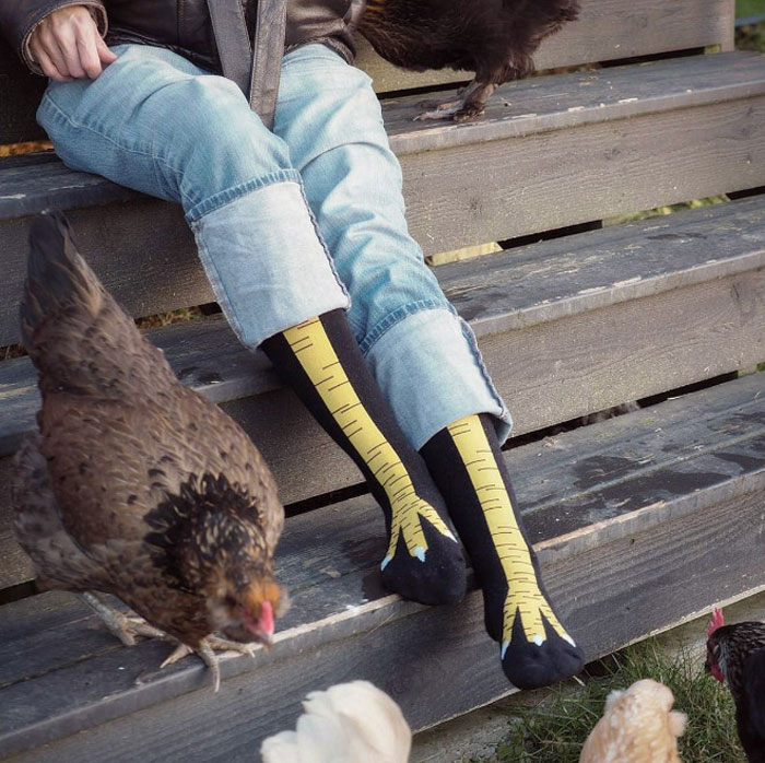 Les chaussettes pattes de poulet existent et elles sont vraiment drôles (19 images)