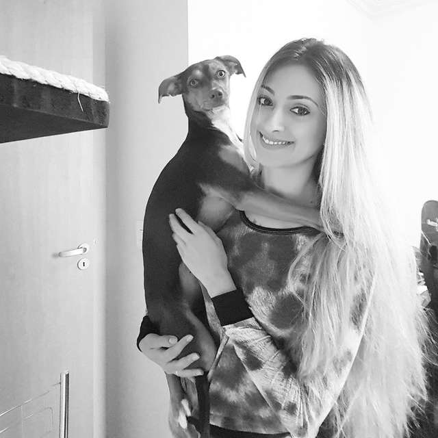 https://www.ipnoze.com/wordpress/wp-content/uploads/2019/09/chienne-vole-dentier-grand-mere-oreiller-luna-005.jpg