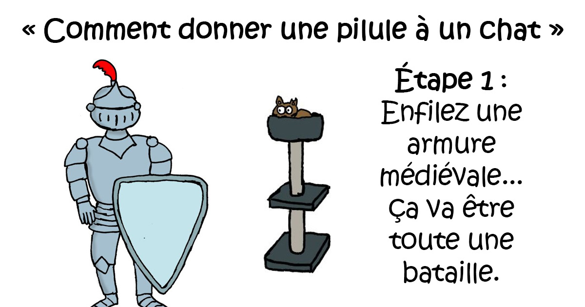 Ce Guide Absurde En 10 Etapes Explique Comment Donner Une Pilule A Un Chat Et C Est Vraiment Drole Ipnoze