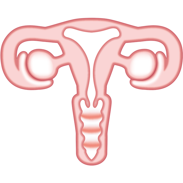 Le tout premier emoji de vagin est arrivé