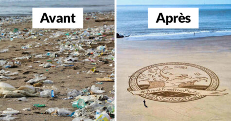 Cette grand-mère de 70 ans a nettoyé 52 plages en un an et a prouvé qu’il n’est jamais trop tard pour prendre soin de notre planète