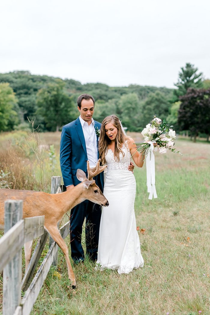 Une séance photo de mariage a été interrompue par un cerf et ces 15 images sont vraiment drôles et adorables