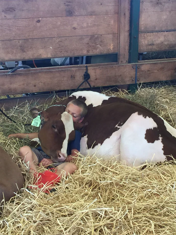 22 personnes qui ont été surprises à faire la sieste des façons les plus drôles et les plus inconfortables