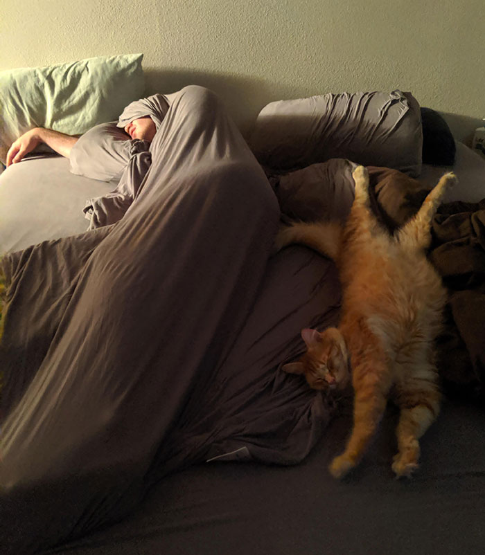 22 personnes qui ont été surprises à faire la sieste des façons les plus drôles et les plus inconfortables