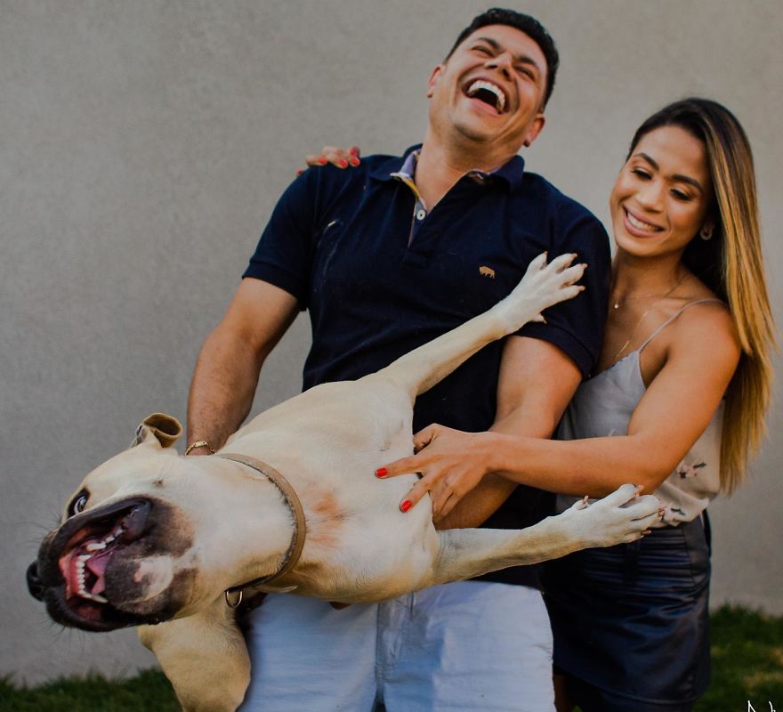 https://www.ipnoze.com/wordpress/wp-content/uploads/2019/09/photos-avant-mariage-chien-drole-nicolas-carrelo-006.jpg