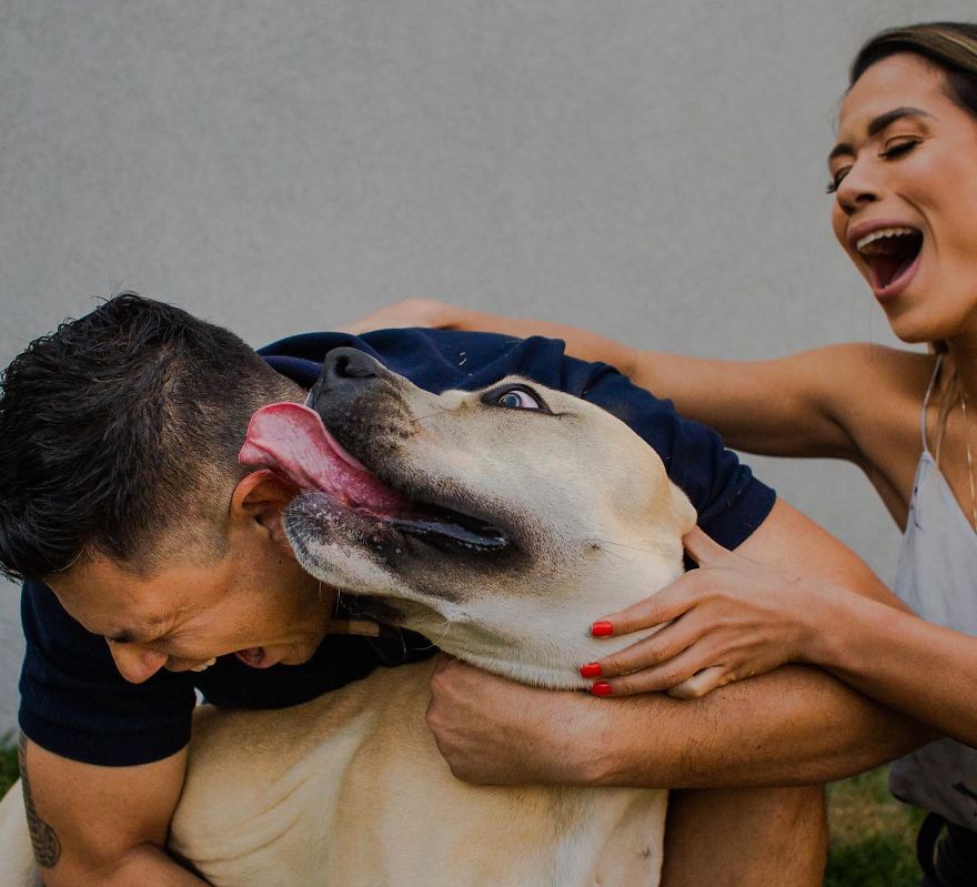https://www.ipnoze.com/wordpress/wp-content/uploads/2019/09/photos-avant-mariage-chien-drole-nicolas-carrelo-007.jpg