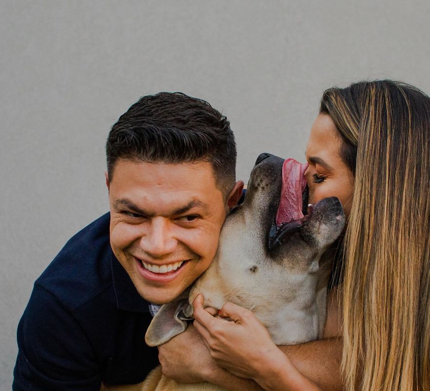 https://www.ipnoze.com/wordpress/wp-content/uploads/2019/09/photos-avant-mariage-chien-drole-nicolas-carrelo-009.jpg