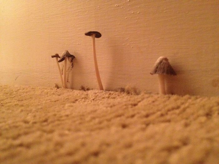 22 personnes qui ont partagé des photos des pires hôtels où elles ont séjourné