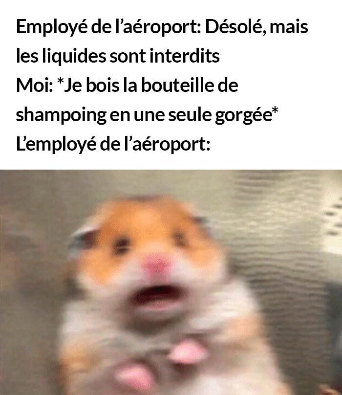 22 blagues de voyage et d’aéroport pour tout le monde qui a déjà voyagé au moins une fois