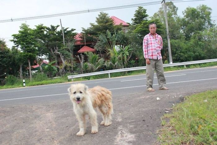 Ce chien a attendu 4 ans au même endroit jusqu’à ce qu’il soit enfin réuni avec les propriétaires qui l’avaient perdu