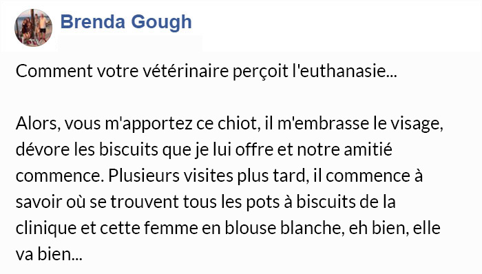 Ce message déchirant sur l&#8217;euthanasie qu’une vétérinaire doit effectuer est devenu viral