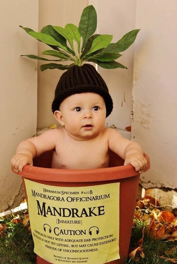 33 costumes d’Halloween pour bébés qui sont si mignons que c’en est terrifiant