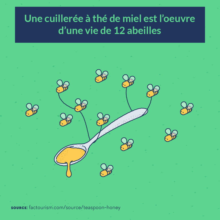 Nous avons illustré 23 faits les plus fascinants sur notre monde