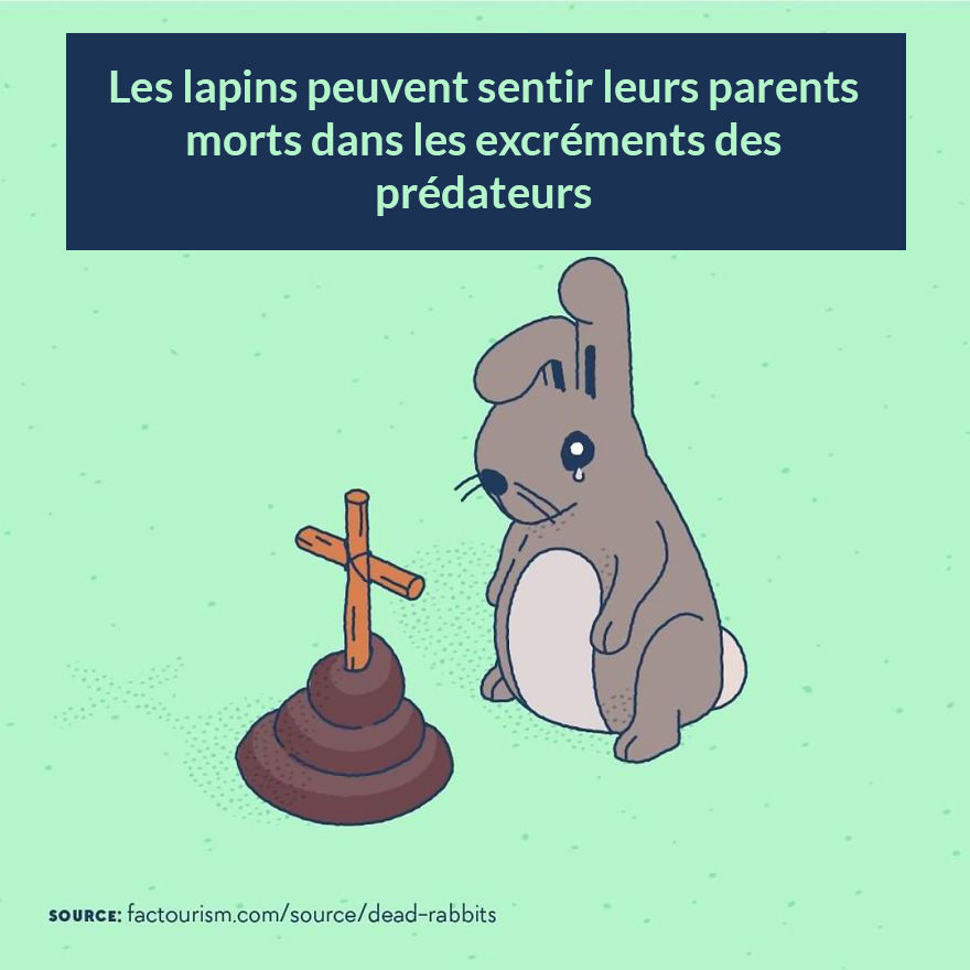 Nous avons illustré 23 faits les plus fascinants sur notre monde