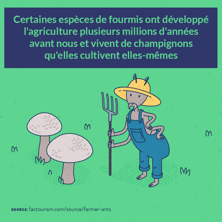Nous avons illustré 23 faits les plus fascinants sur notre monde