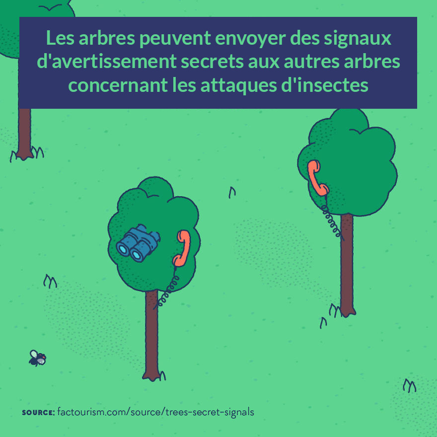 Nous avons illustré 23 faits les plus fascinants sur notre monde