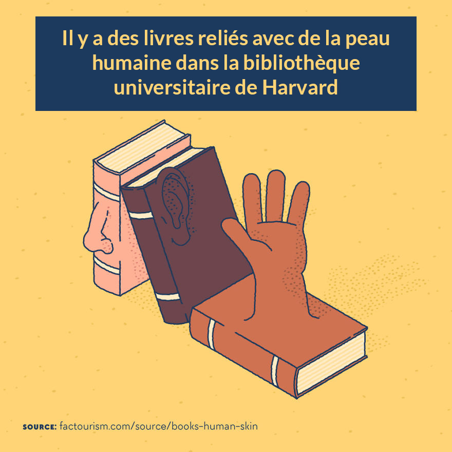Nous avons illustré 23 faits les plus fascinants sur notre monde