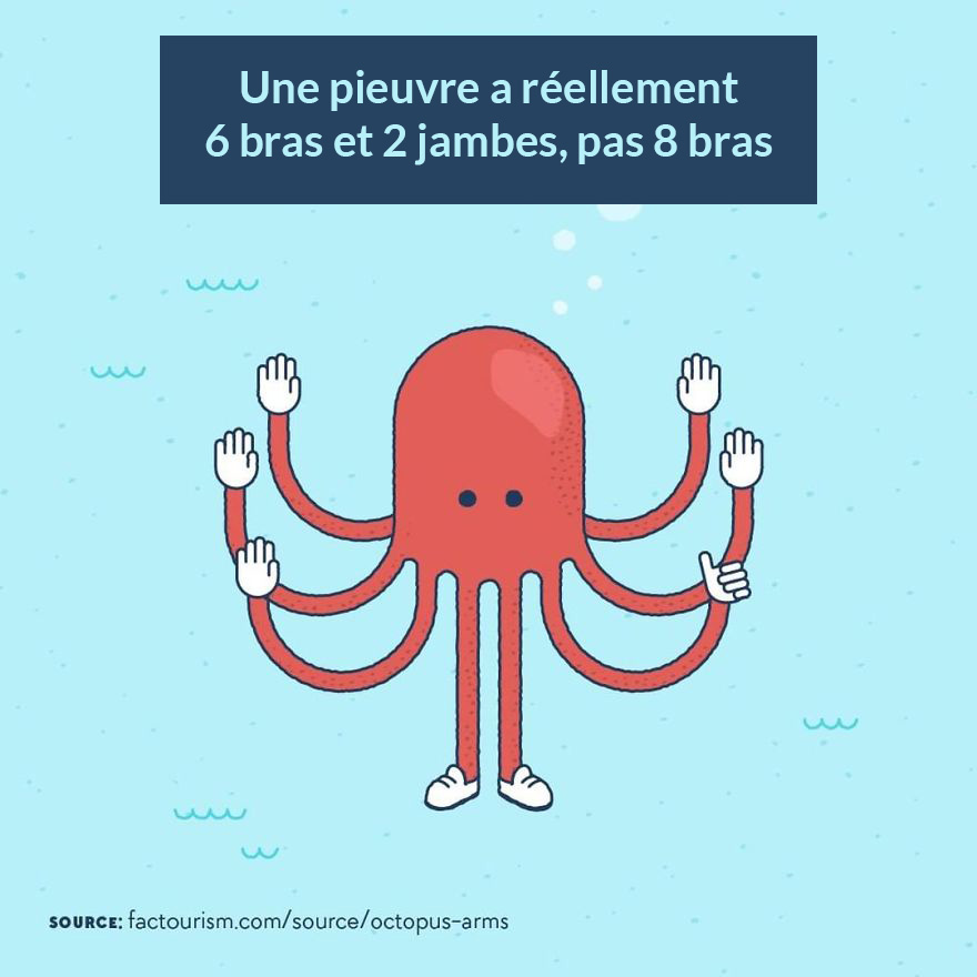 Nous avons illustré 23 faits les plus fascinants sur notre monde