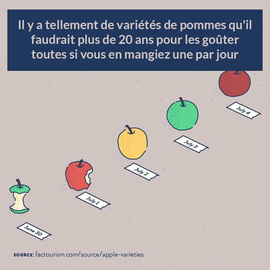 Nous avons illustré 23 faits les plus fascinants sur notre monde