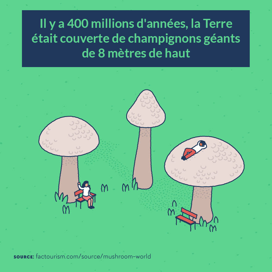 Nous avons illustré 23 faits les plus fascinants sur notre monde