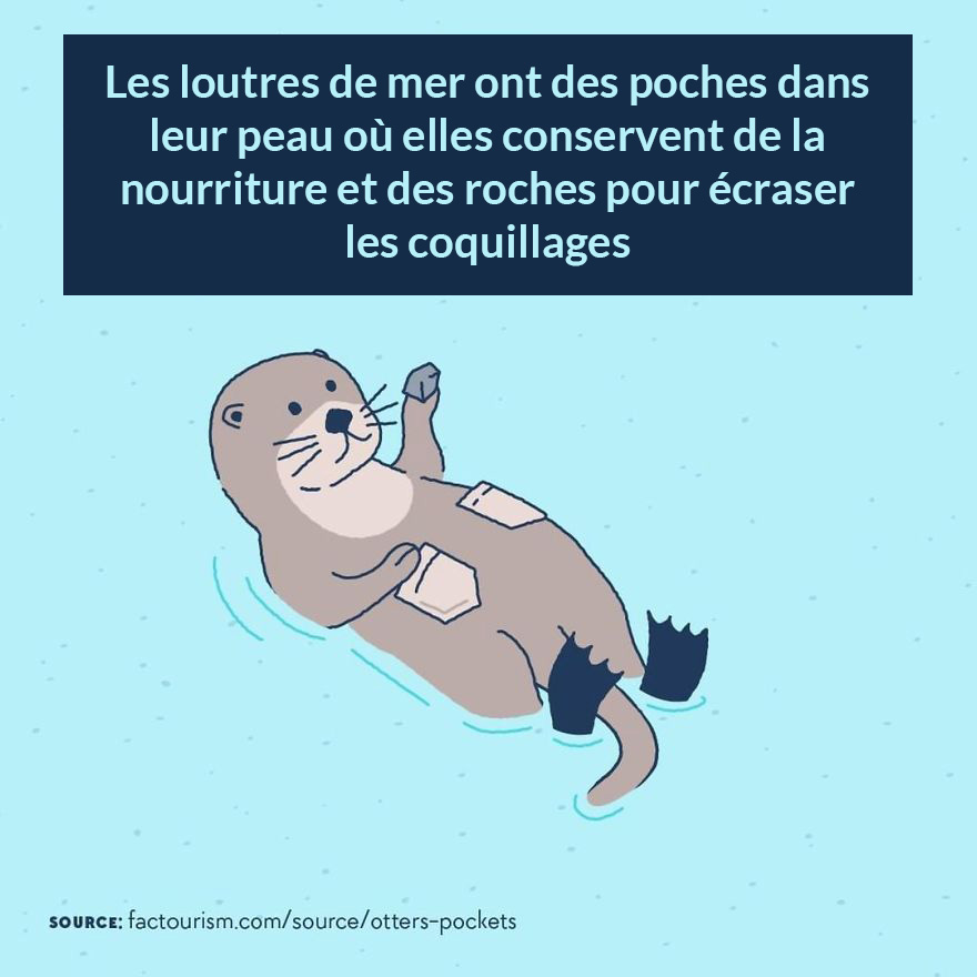 Nous avons illustré 23 faits les plus fascinants sur notre monde