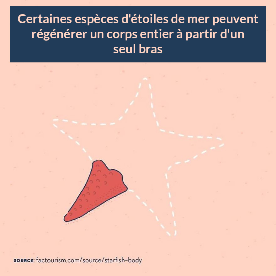 Nous avons illustré 23 faits les plus fascinants sur notre monde