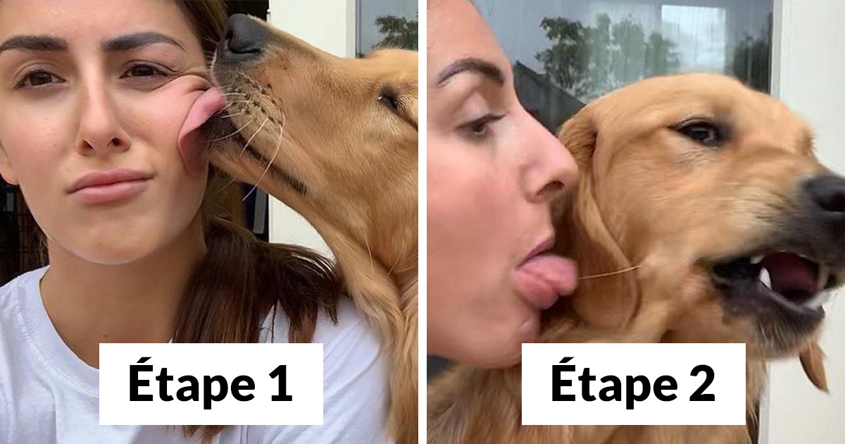 Le lien que cette fille a tissé avec ses chiens est la définition d’âmes soeurs (22 images)