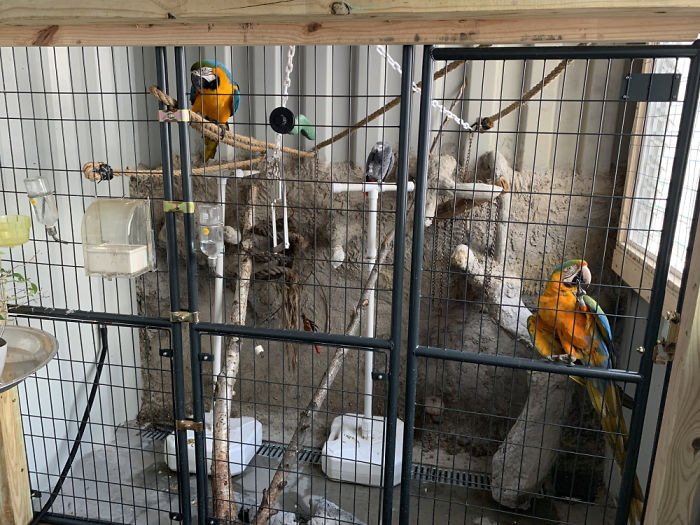 Un homme utilise 11 conteneurs pour construire sa maison de rêve de 232 mètres carrés