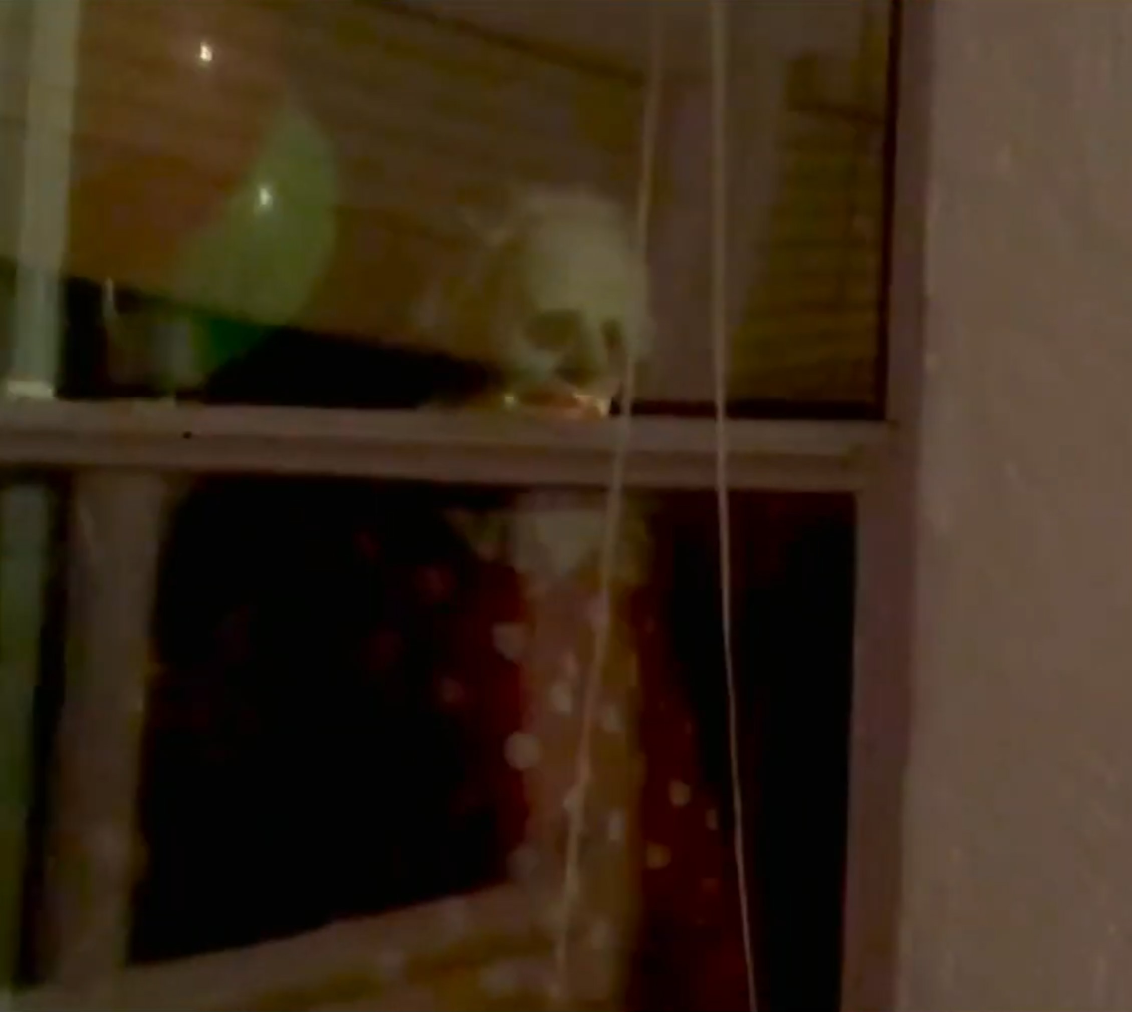 Les parents peuvent engager Wrinkles le clown pour terroriser les enfants qui se comportent mal