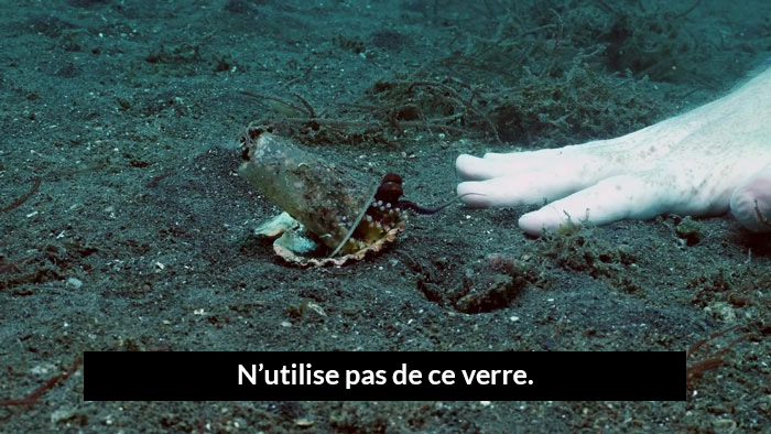 Un plongeur a convaincu un bébé pieuvre d’abandonner son verre en plastique en échange d’un coquillage