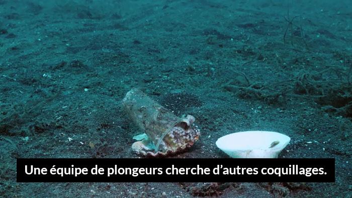 https://www.ipnoze.com/wordpress/wp-content/uploads/2019/10/plongeur-aide-pieuvre-dans-verre-en-plastique-04.jpg