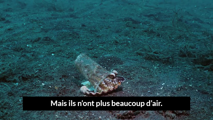 https://www.ipnoze.com/wordpress/wp-content/uploads/2019/10/plongeur-aide-pieuvre-dans-verre-en-plastique-05.jpg