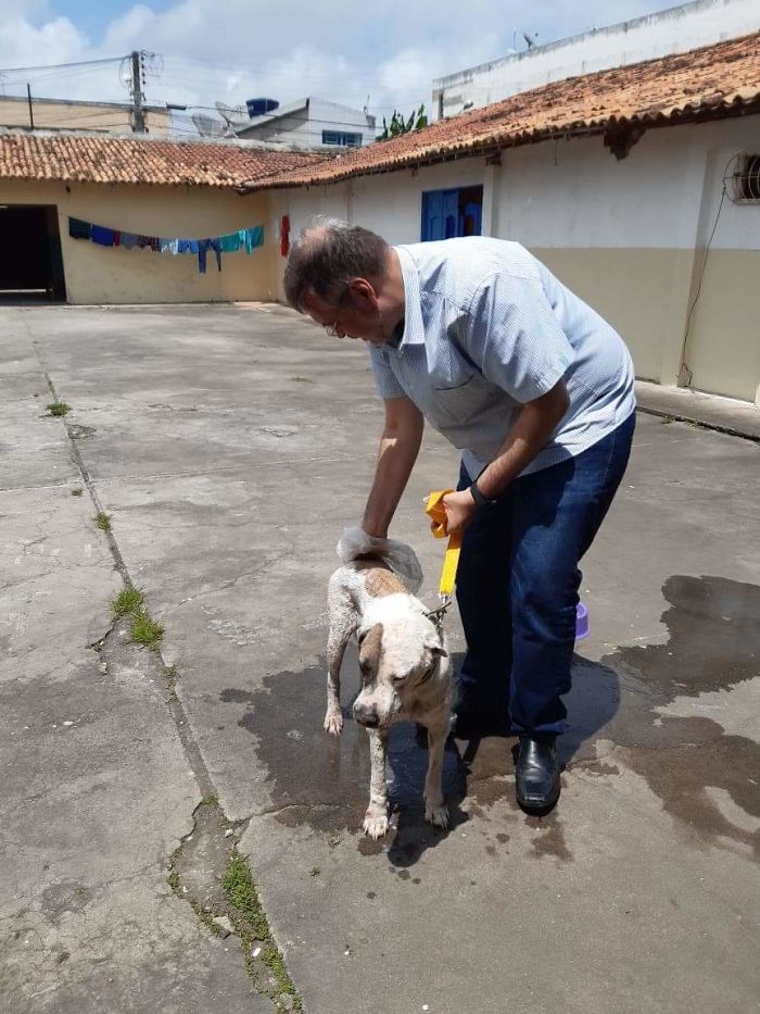 Ce gentil prêtre amène des chiens errants à la messe pour qu’ils puissent se trouver de nouvelles familles