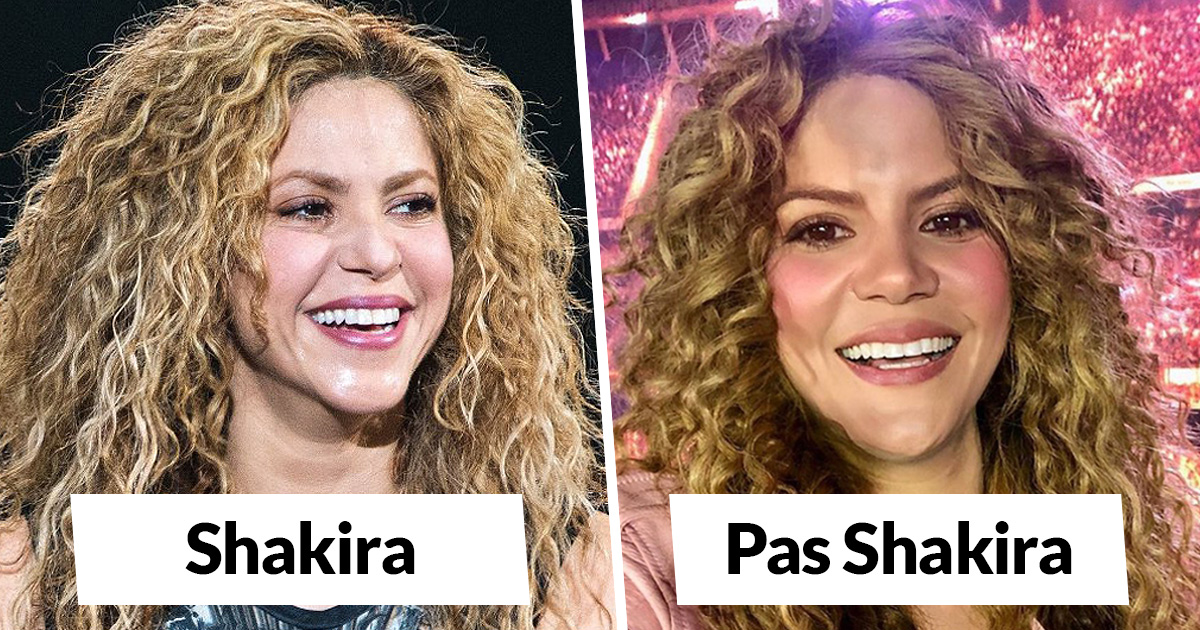 Cette personne collectionne les sosies de célébrités et voici les 25 meilleurs