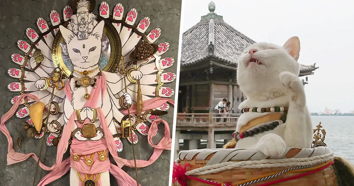 Il Y A Un Temple De Chats Au Japon Et Ses Moines Sont Les
