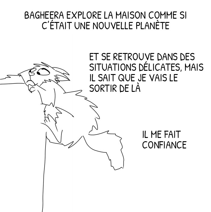 Un gars déprimé a adopté un chat et a illustré les façons dont il l’a aidé au cours des 2 derniers mois