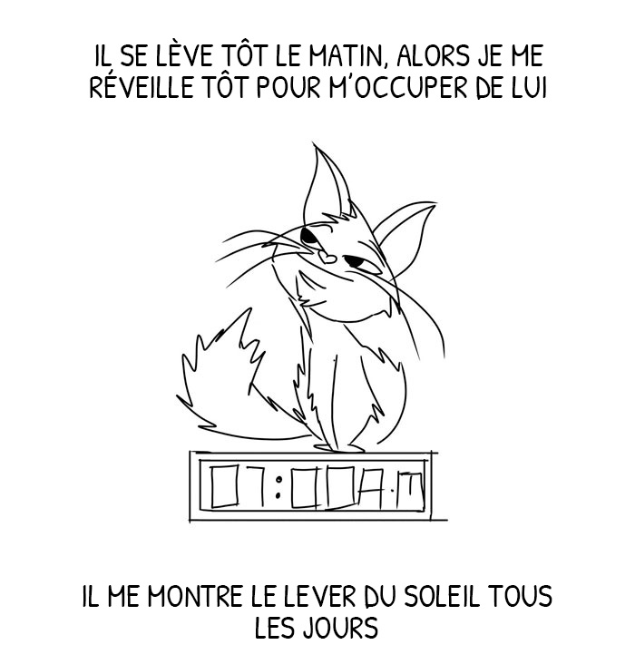Un gars déprimé a adopté un chat et a illustré les façons dont il l’a aidé au cours des 2 derniers mois