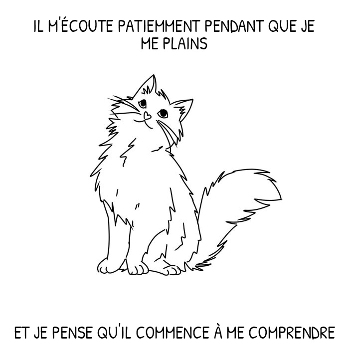 Un gars déprimé a adopté un chat et a illustré les façons dont il l’a aidé au cours des 2 derniers mois
