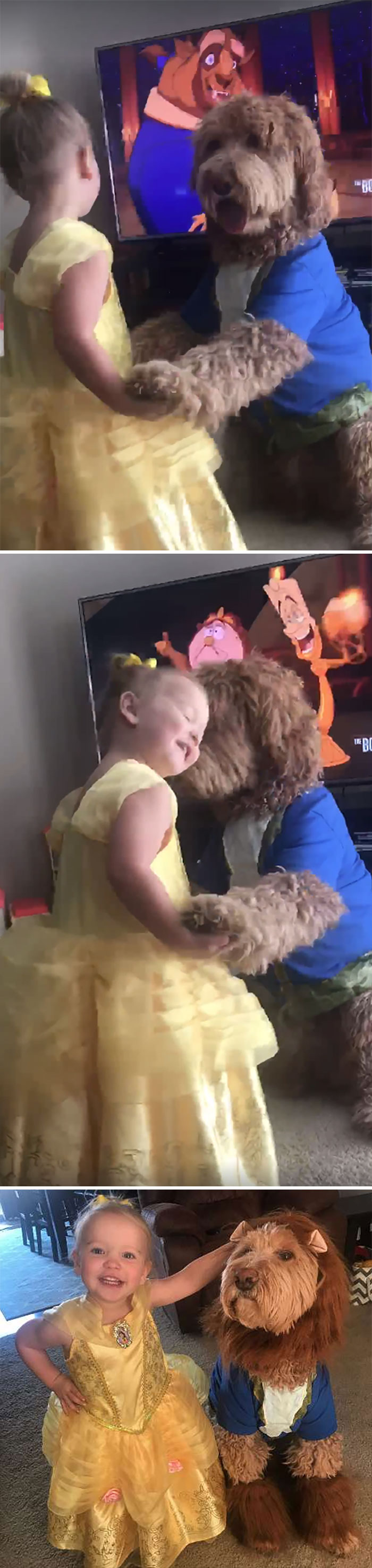 33 enfants qui ont « gagné » l’Halloween