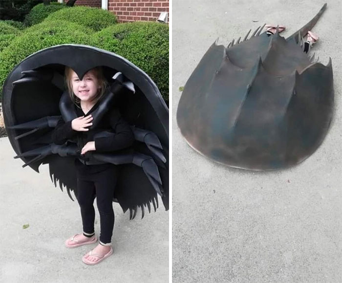 33 enfants qui ont « gagné » l’Halloween