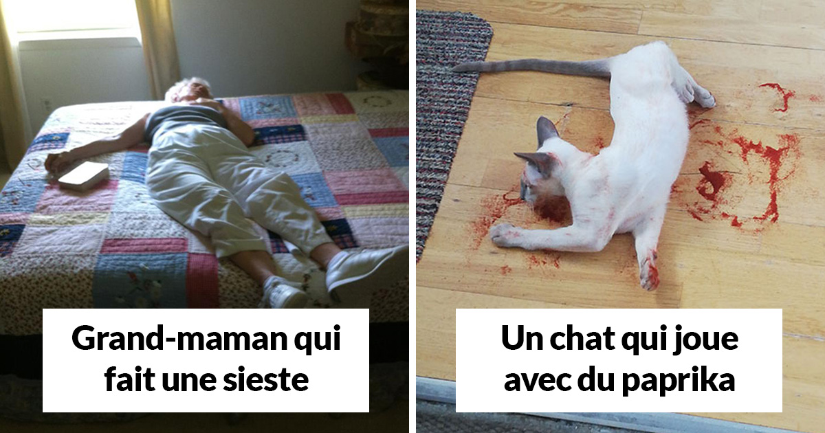 22 fois où des choses inoffensives ont presque donné une crise cardiaque aux gens (nouvelles images)