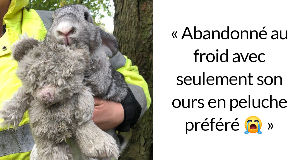 peluche paresseux action