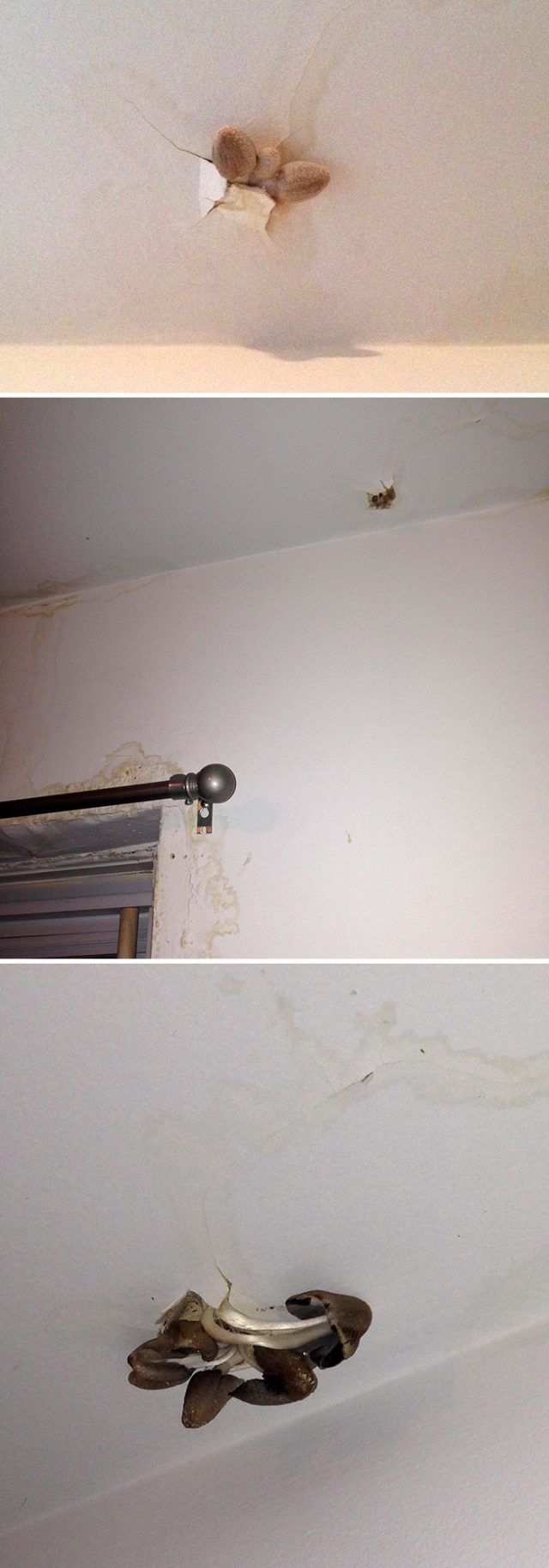 Comment Prouver Que Mon Propriétaire Rentre Chez Moi 22 fois où des propriétaires ont tellement négligé leurs locataires qu