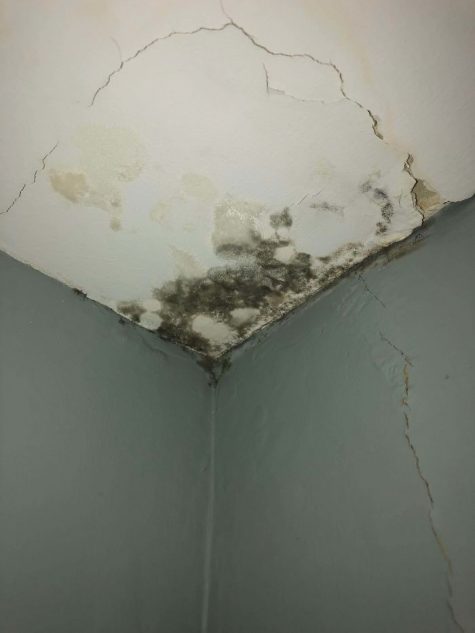 Comment Prouver Que Mon Propriétaire Rentre Chez Moi 22 fois où des propriétaires ont tellement négligé leurs locataires qu