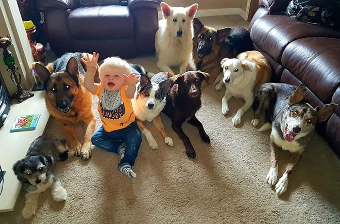 Une femme a enfin réussi à faire asseoir ses 17 animaux de compagnie pour une photo
