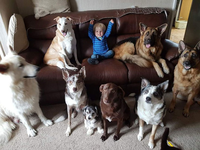 Une femme a enfin réussi à faire asseoir ses 17 animaux de compagnie pour une photo