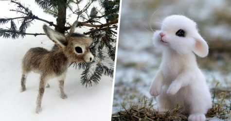 Les animaux en laine feutrée de cette artiste sont si mignons qu’ils vont te faire dire « Onnn! » (30 images)