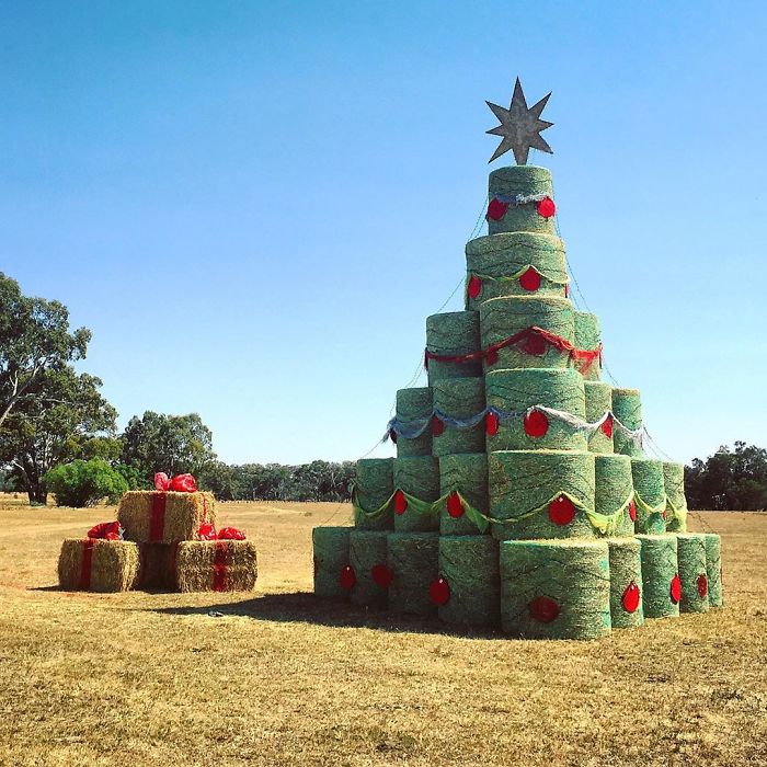 Voici comment des employés de différentes industries ont décoré leur lieu de travail avec des arbres de Noël très appropriés (22 images)